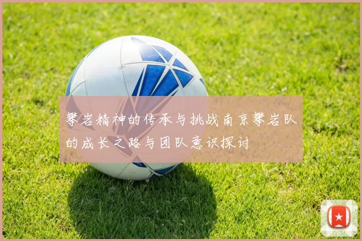 攀岩精神的传承与挑战南京攀岩队的成长之路与团队意识探讨