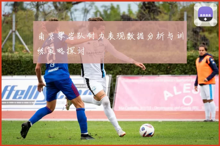 南京攀岩队耐力表现数据分析与训练策略探讨