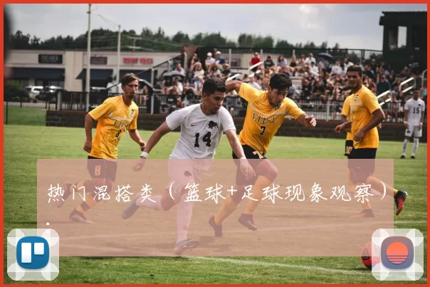 热门混搭类（篮球+足球现象观察）：