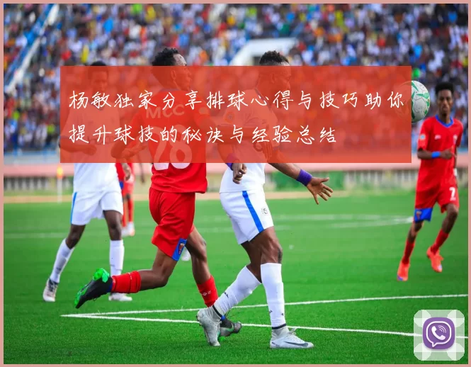 杨敏独家分享排球心得与技巧助你提升球技的秘诀与经验总结