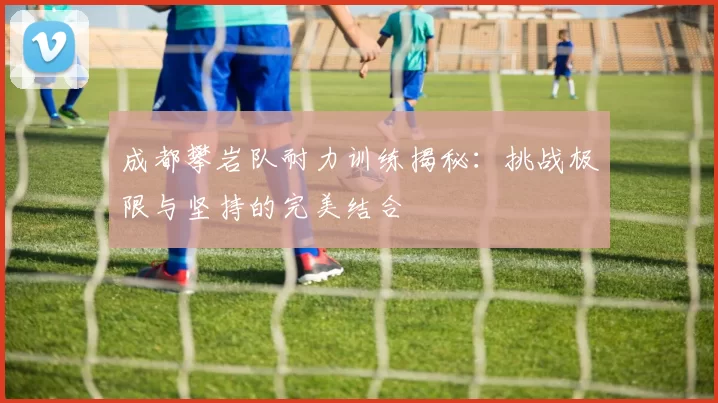 成都攀岩队耐力训练揭秘：挑战极限与坚持的完美结合