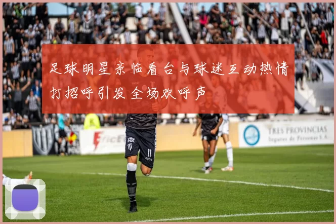 足球明星亲临看台与球迷互动热情打招呼引发全场欢呼声