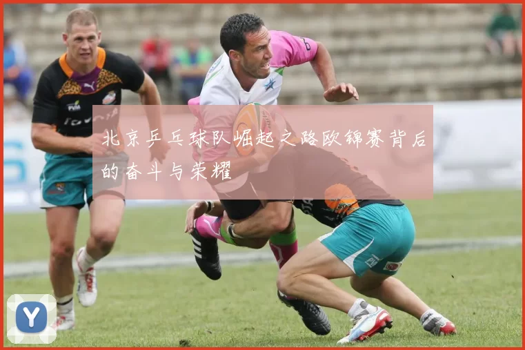 北京乒乓球队崛起之路欧锦赛背后的奋斗与荣耀