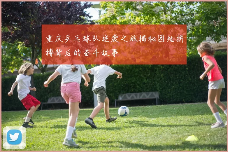 重庆乒乓球队逆袭之旅揭秘团结拼搏背后的奋斗故事