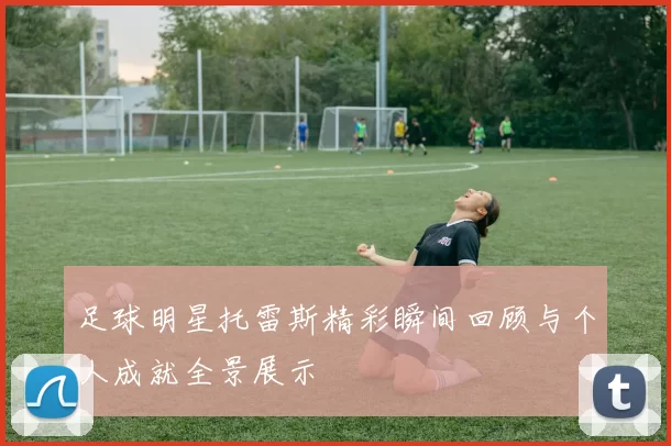 足球明星托雷斯精彩瞬间回顾与个人成就全景展示
