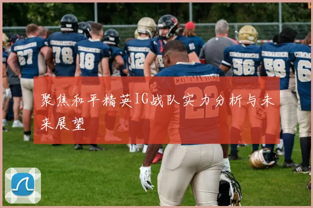聚焦和平精英IG战队实力分析与未来展望