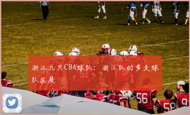 浙江几只CBA球队：浙江队的多支球队发展