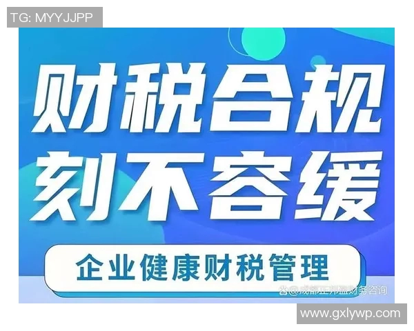 以财务注册为核心推进企业合规管理和税务优化的路径探讨