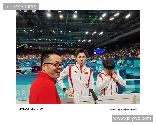 体育明星的奋斗与荣耀：他们背后的坚持与梦想