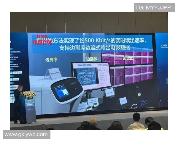 大米种植的可持续发展路径探索与技术创新研究