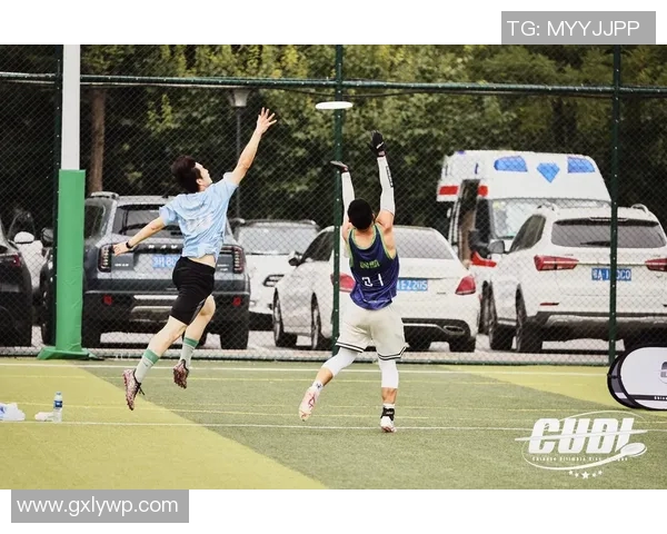 飞盘热潮下的战术博弈北京飞盘队引发的战术争议与思考