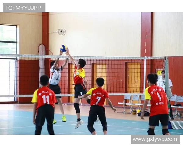 重庆排球队运营揭秘：深度解析排球运动的背后故事与发展策略