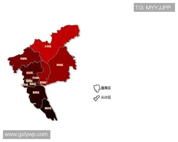 广州乒乓球队控制策略分析与热点解读探讨