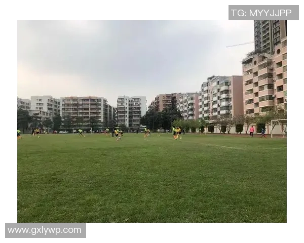 广州足球队在杯赛中的比赛经验与表现分析与点评